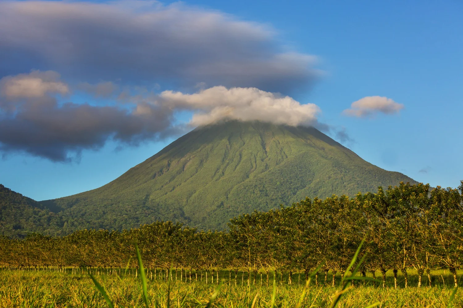 Arenal Volcano Best Tours In La Fortuna