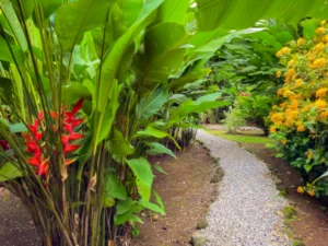 BUKALA VILLAGE LODGE GARDENS