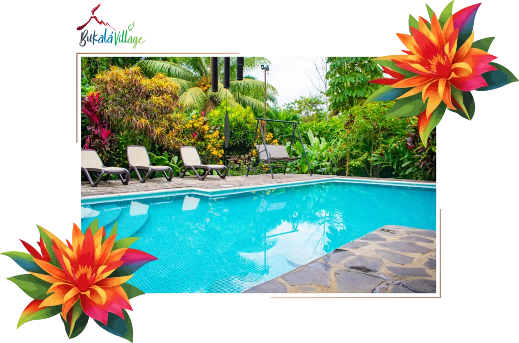 Bromelias Home Pool access