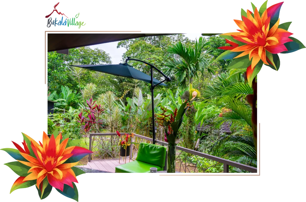 Bromelias Home conection with Nature