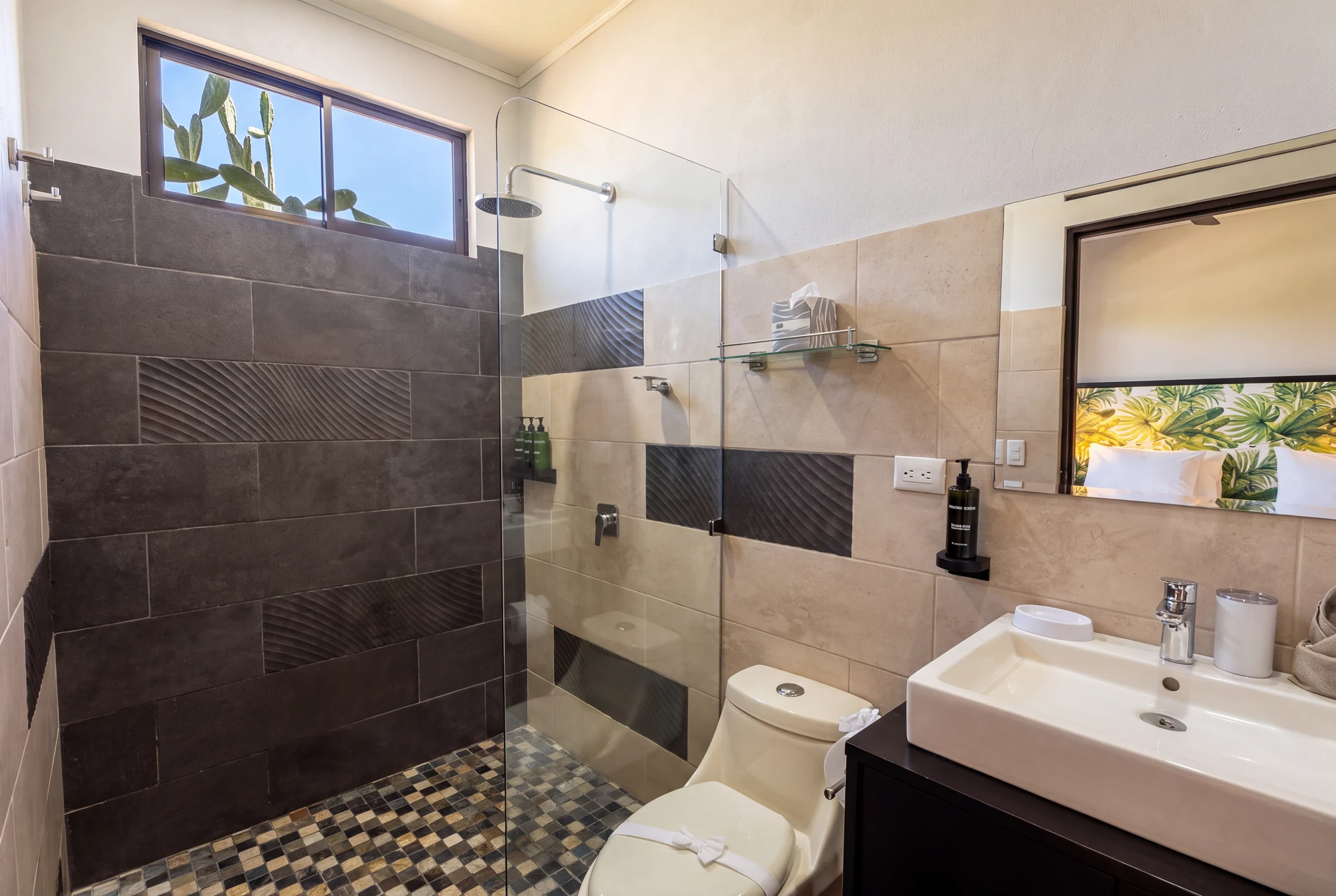 Bromelias Home bathroom and shower
