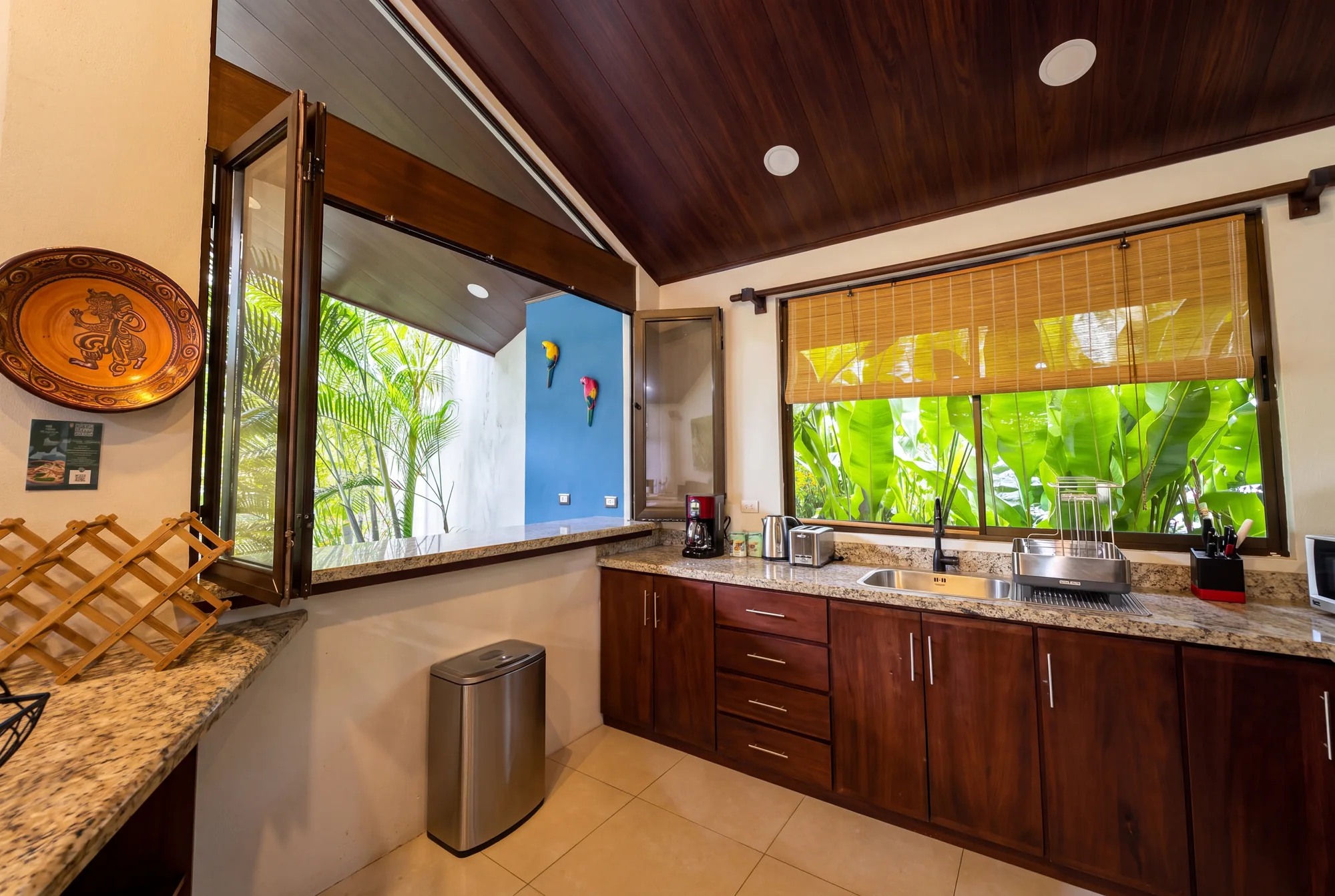 Bromelias Home kitchen with garden window