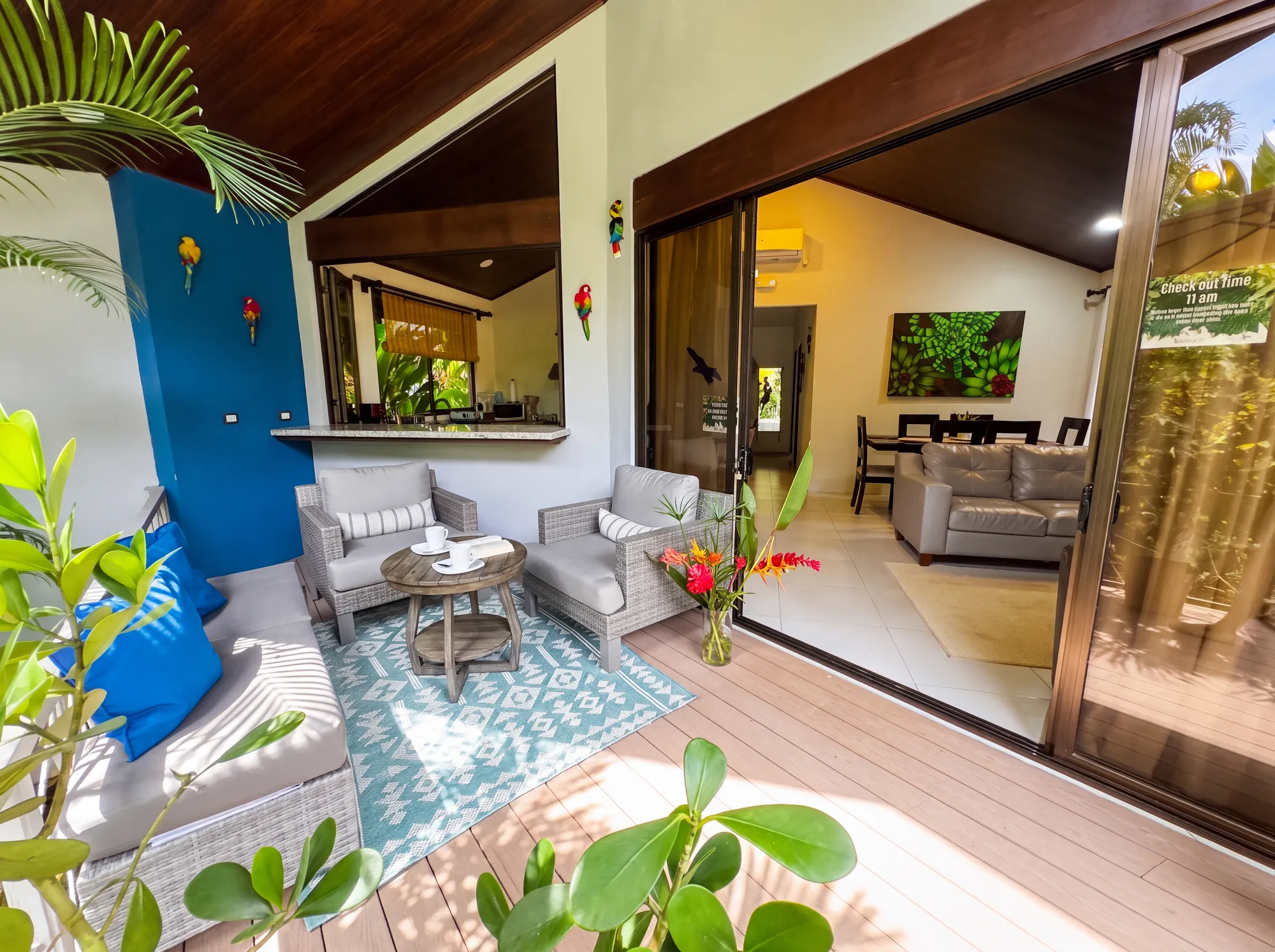 Bromelias Home