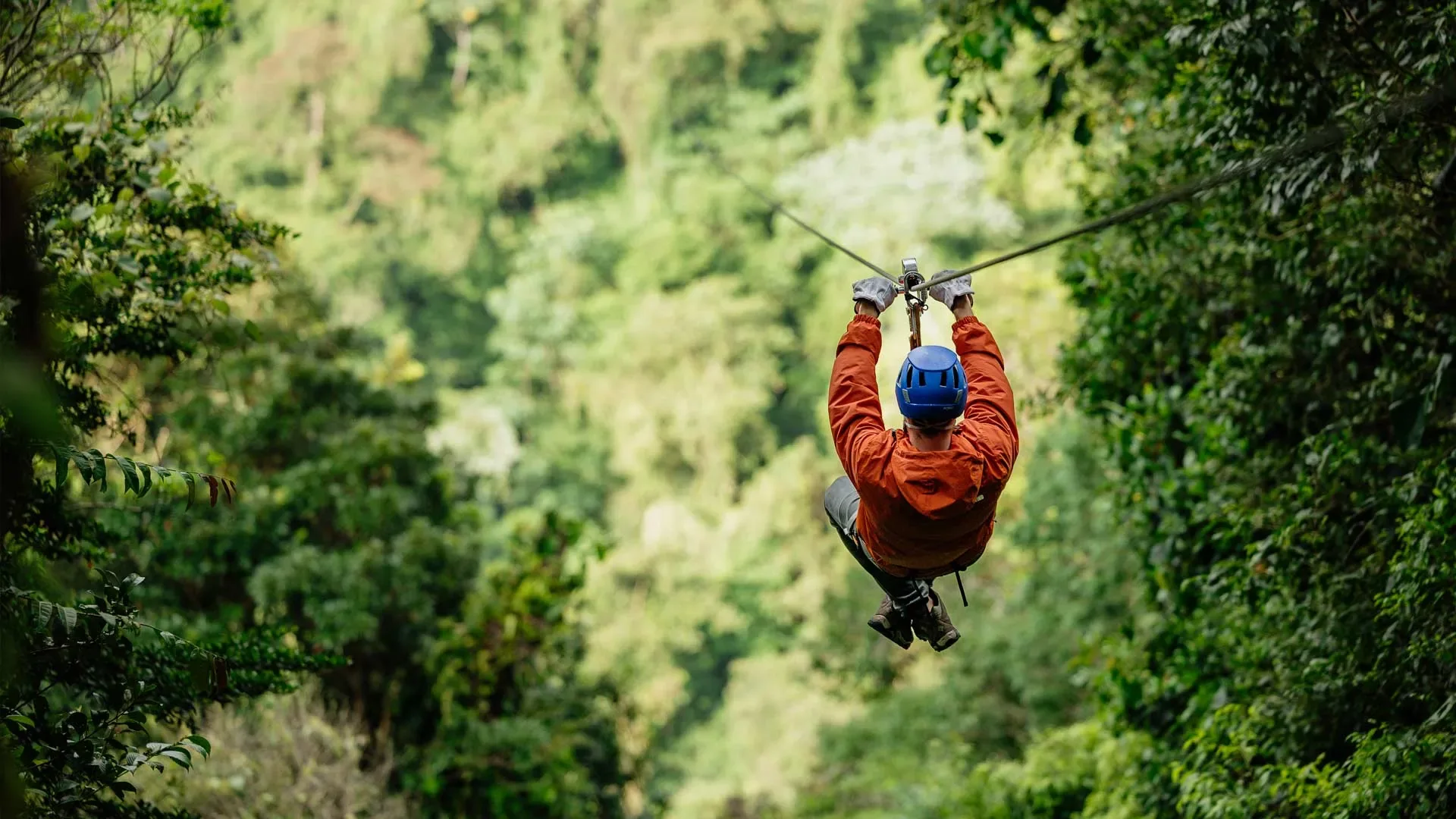 Zip Lining
