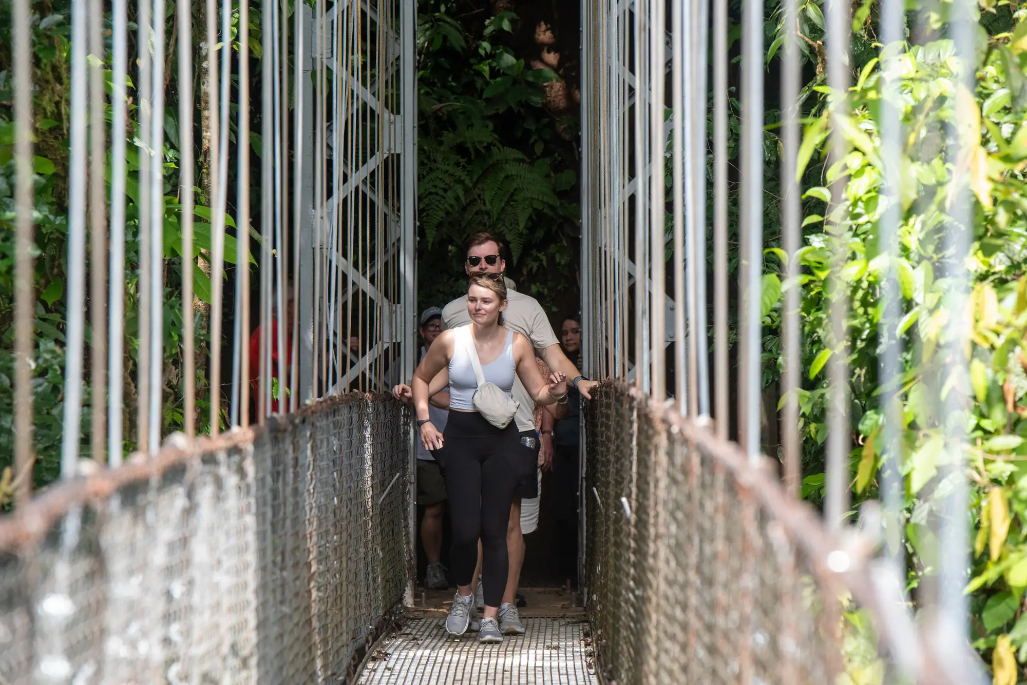 Hanging Bridges